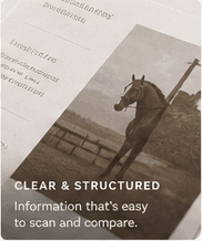 Structured horse information on paper